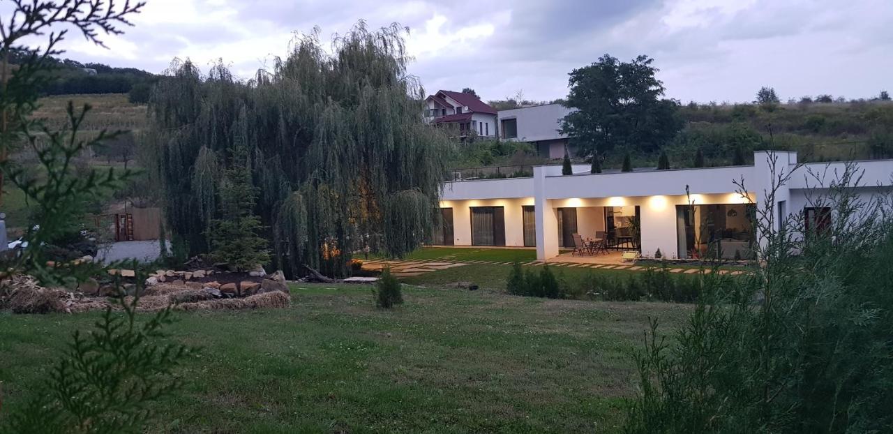 La Salcia Din Padure Daire Alba Iulia Dış mekan fotoğraf
